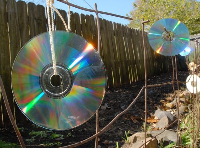 Perché si mette un CD fuori al balcone in estate? Ecco svelato il motivo